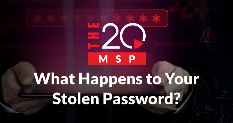 What Happens to Your Stolen Password?